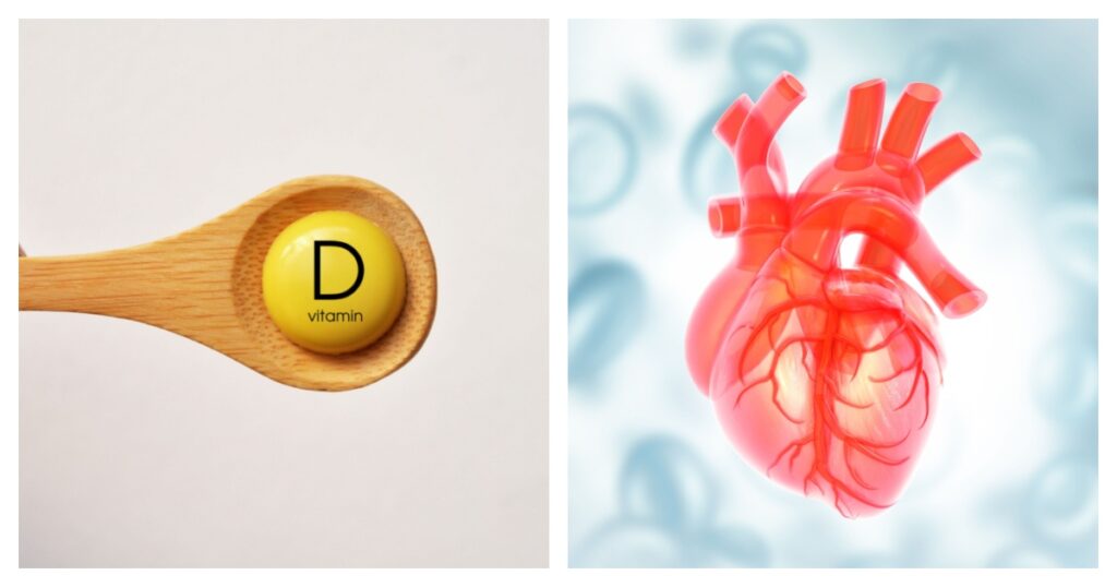 Vitamin D and a 3D rendering of a human heart