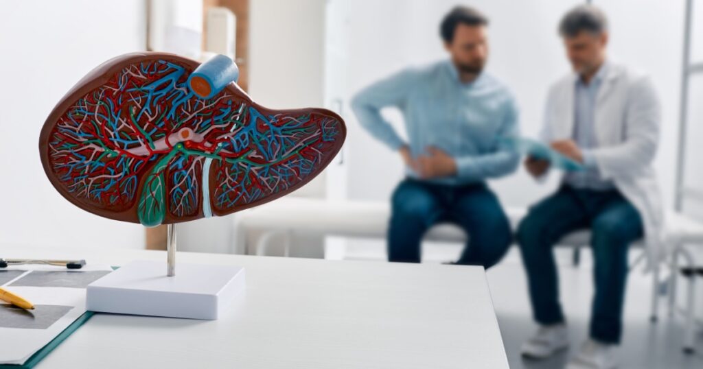 Liver anatomical model on doctor's table during hepatologist consultation for patient with side pain in background. Treatment liver diseases in medicine, conceptual image