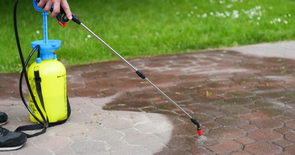 Spraying organic, environmentally-friendly spirit vinegar onto the natural stone pavement (driveway, parking lot) to remove weeds and moss in an eco
