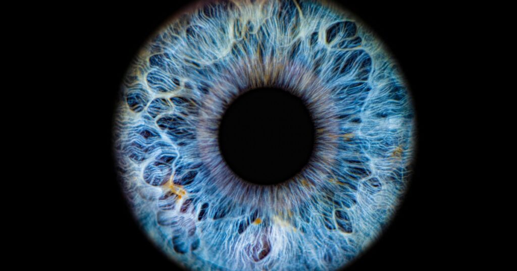 Close up of eye iris on black background, macro, photography
