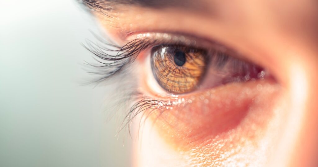 Brown man eye macro shot. Macro shot of a man's eyes.close up view of adult asian man eye with eyelashes and eyebrow looking in front confidently.