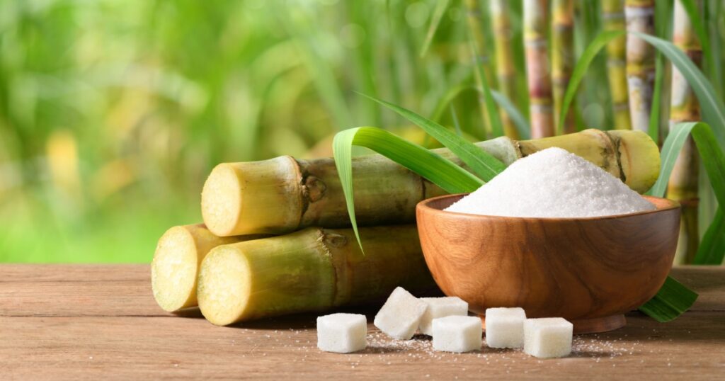 White sugar with fresh sugar cane on wooden table with sugar cane plantation farming background.