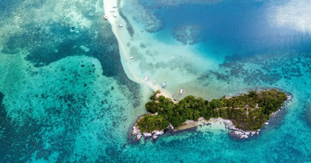 The snake island,which is also known as Ilha da Queimada Grande, is an island off the coast of Brazil. This island is full of venomous snakes.