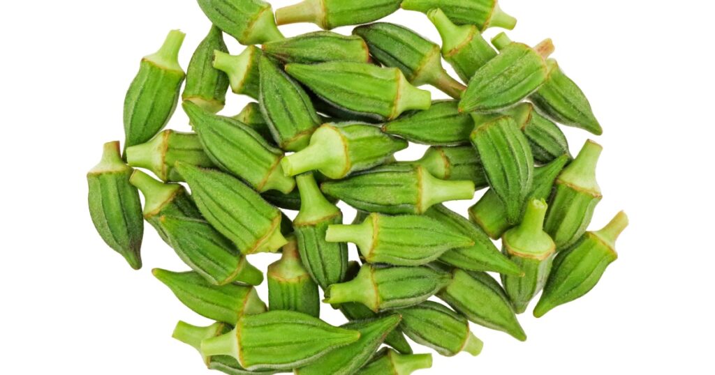 small okra extra, fresh Egyptian okra zero size isolated on white background top view
