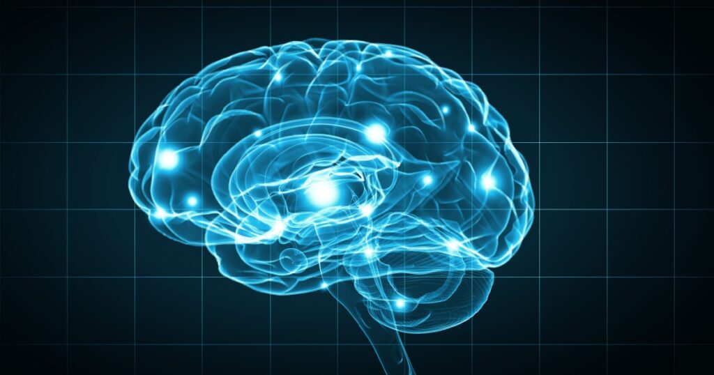 Concept of human intelligence with human brain on blue background