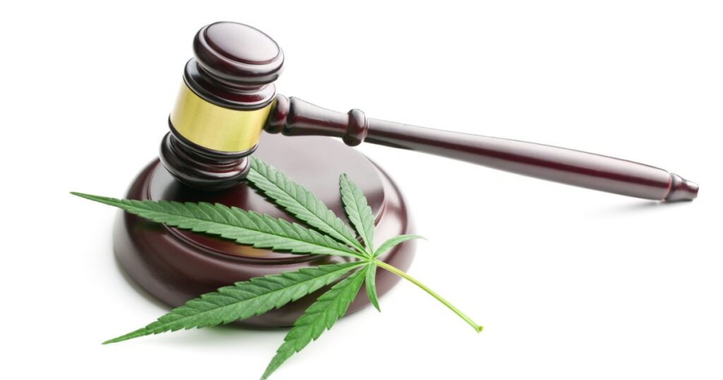 the cannabis leaf and judge gavel