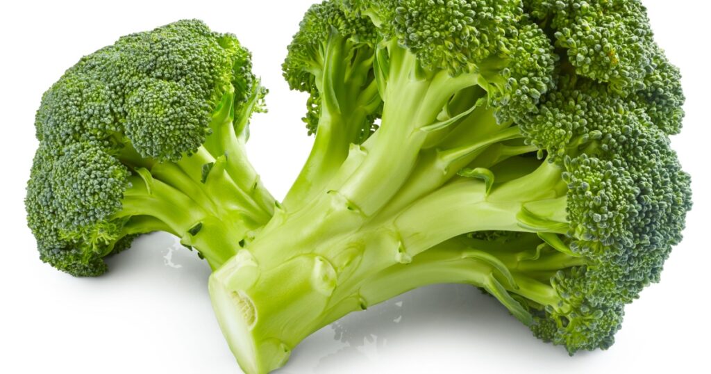 Fresh broccoli isolated on white background