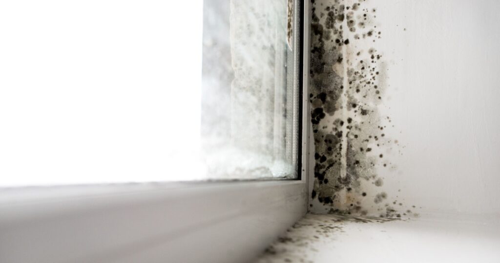 mold in the corner of the window