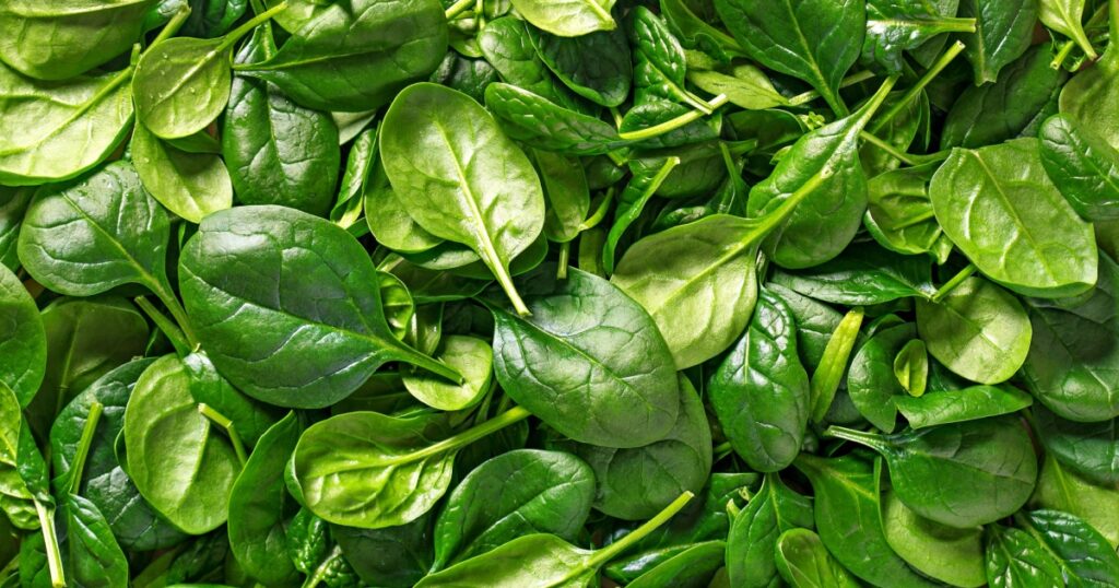 Spinach background full image. Top view