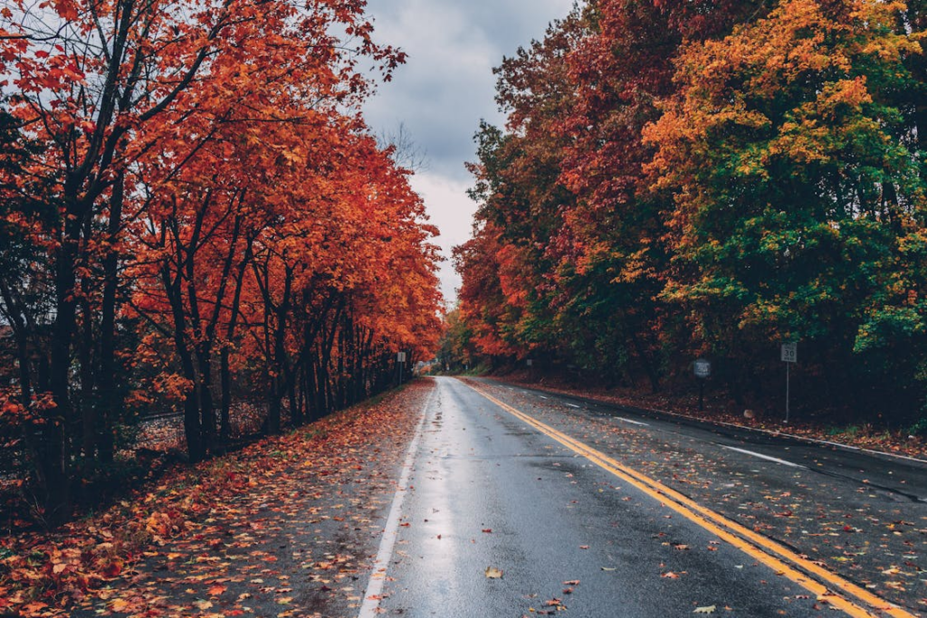 The misconception that seasons are caused by Earth's varying distance from the Sun is prevalent.