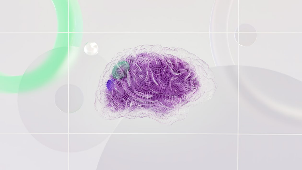 Brain Hemisphere Utilization