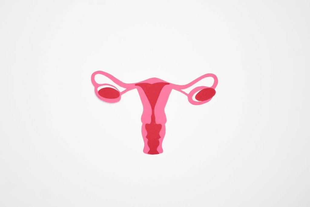 Ovarian Reserve