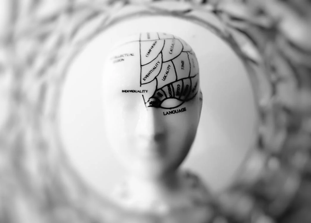 Brain Weight Disparity