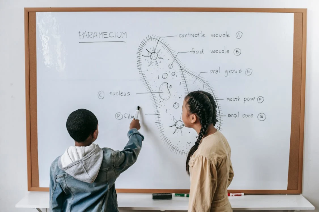 Is My Child Gifted?
