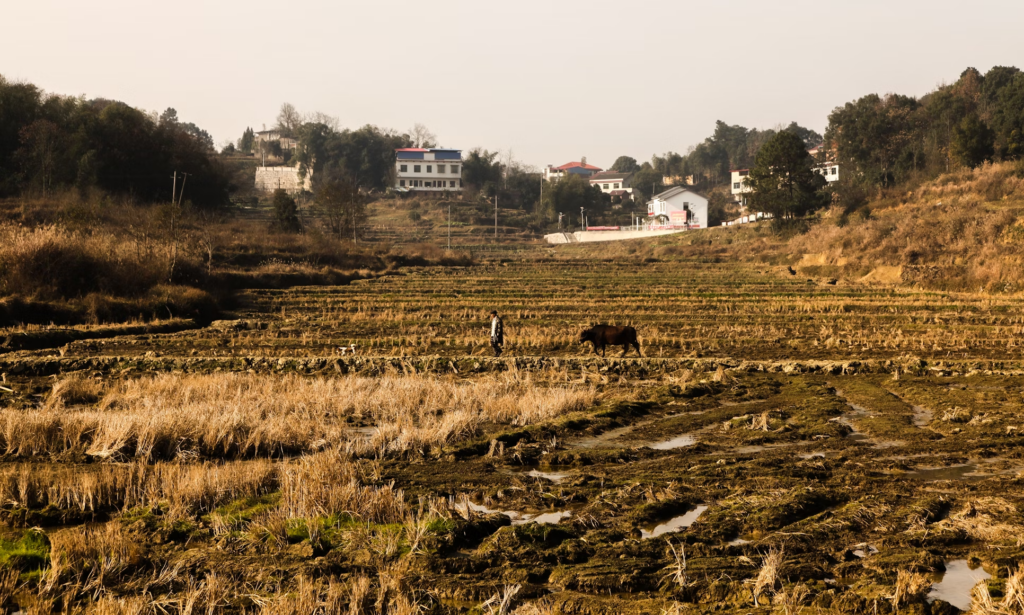 Rural Living and Environmental Exposure
