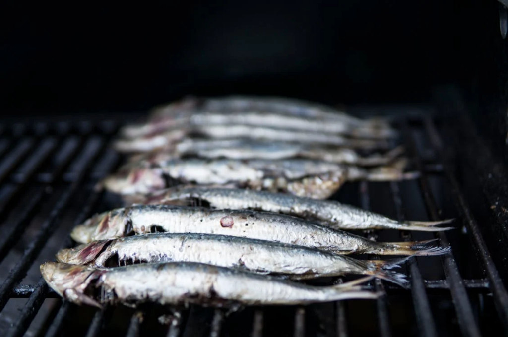 Fish