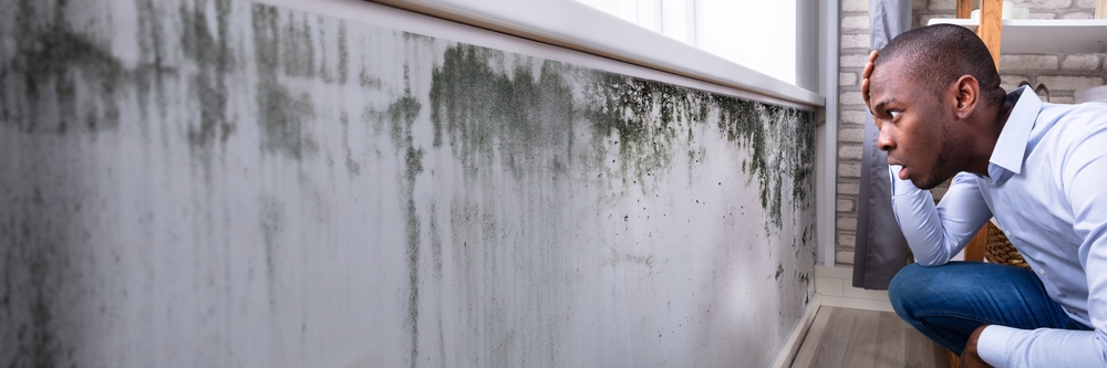 African American Checking Moldy Wall In House