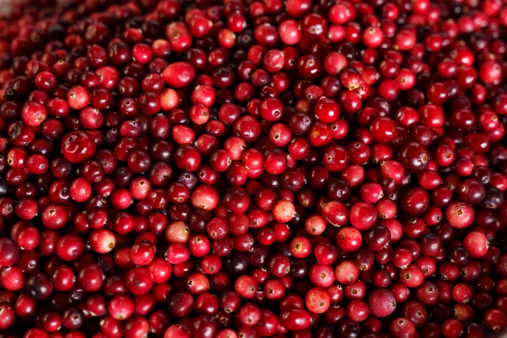 A stack of vibrant cranberries neatly arranged on a wooden table.
