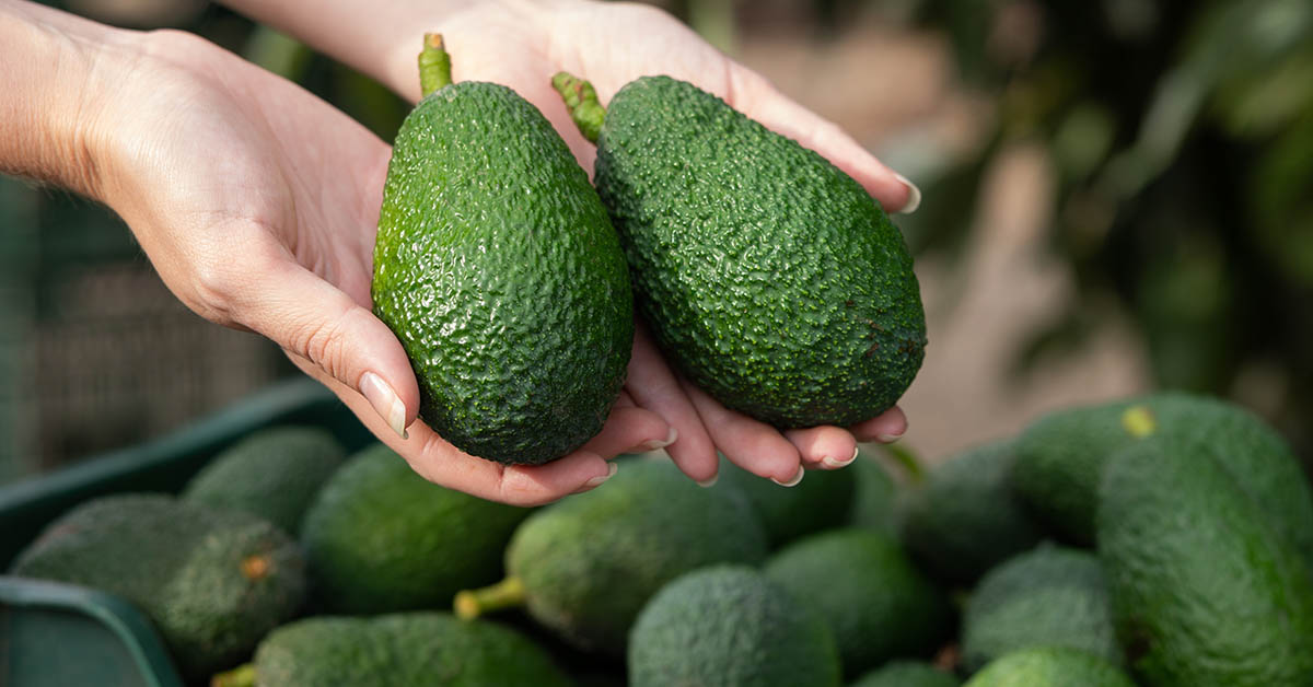 The Best and Safest Way to Store Avocados and Prevent Them From Browning