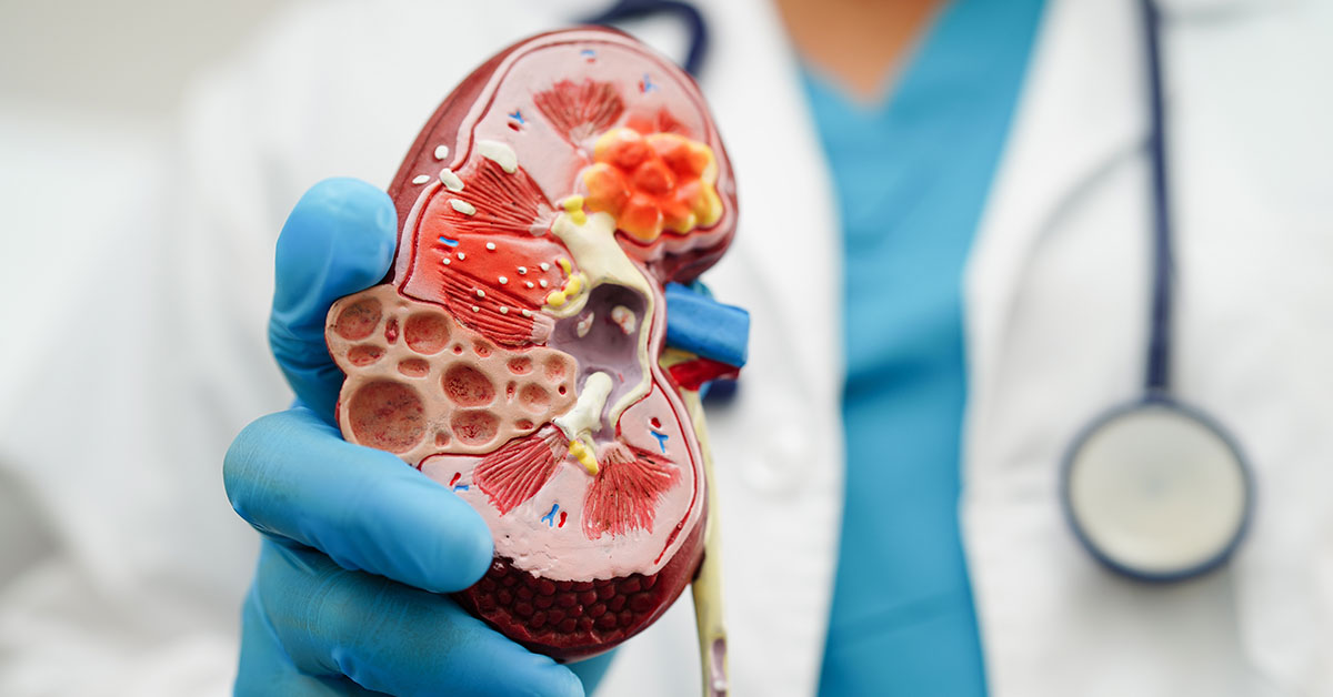 Risk Factors & Early Warning Signs of Chronic Kidney Disease