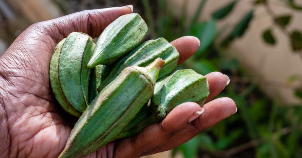 okra