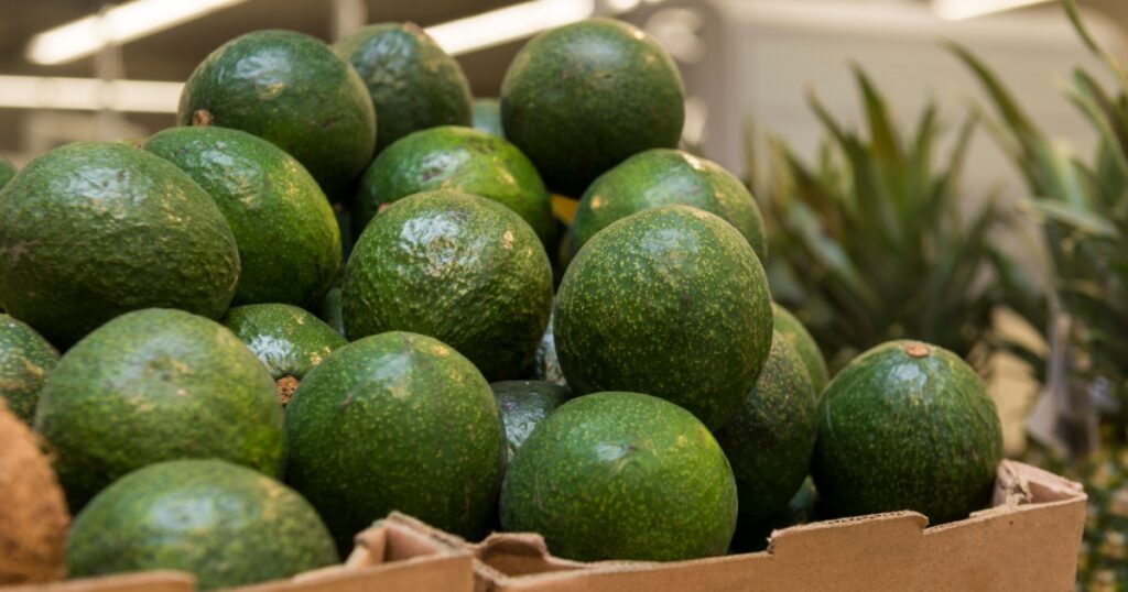 lots of green fresh avocados in a box on the counter in the store,