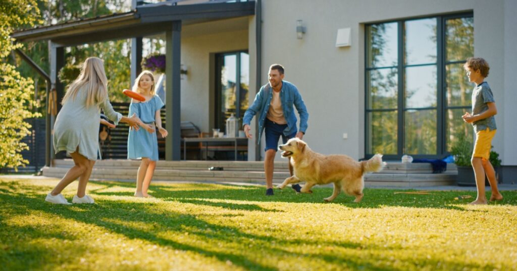 Smiling Beautiful Family of Four Play Fetch flying disc with Happy Golden Retriever Dog on the Backyard Lawn. Idyllic Family Has Fun with Loyal Pedigree Dog Outdoors in Summer House Backyard