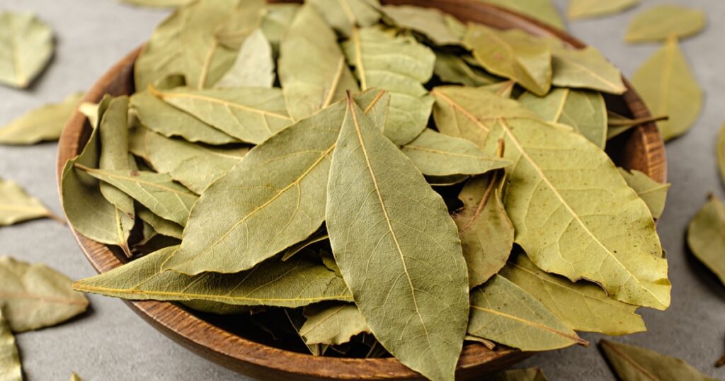 fragrant dried leaves Bay leaves