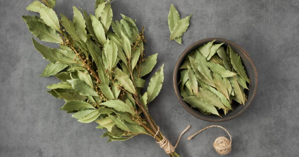 Bowl of dried laurel leaves and bunch of dry green bay leaves, top view, flat lay.