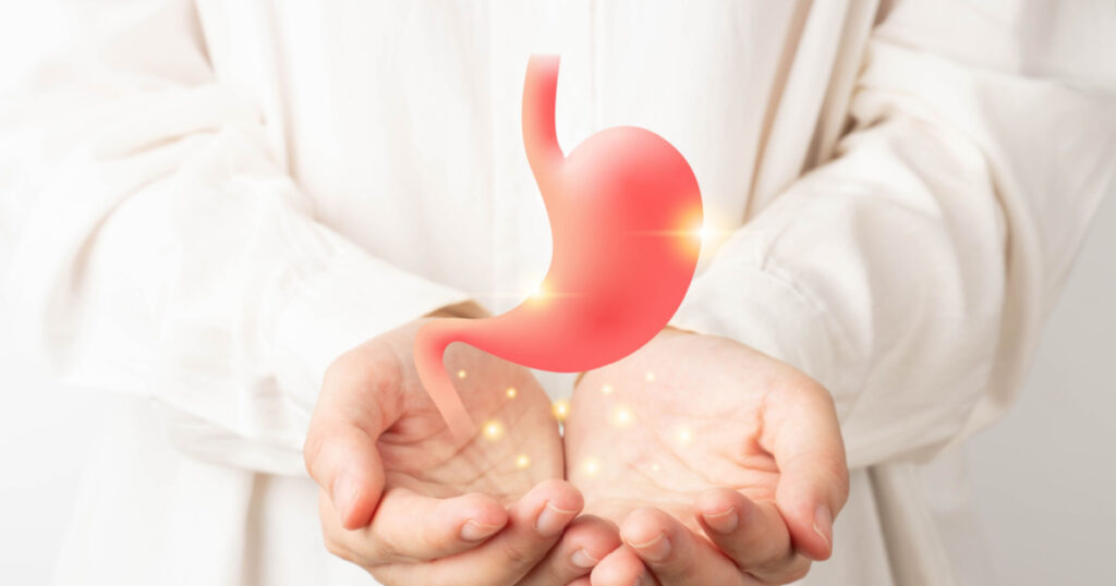 Healthy stomach organ hologram on human hands. Concept of gastric cancer screening, stomach transplant, digestive tract problem and stomach disease treatment.