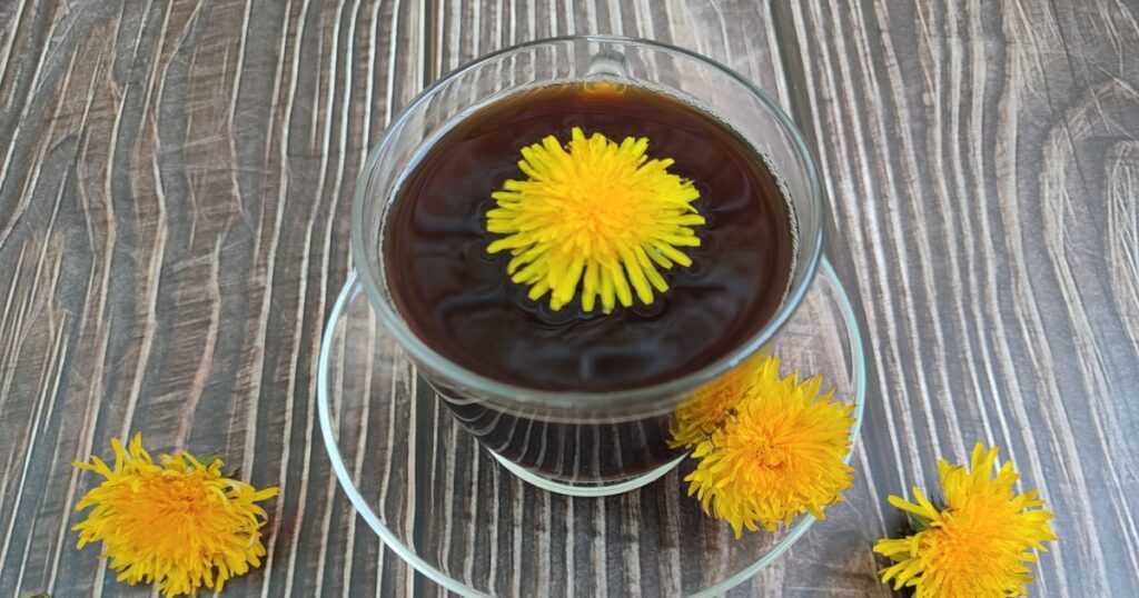 Dandelion, beautiful yellow dandelions, coffee and dandelion