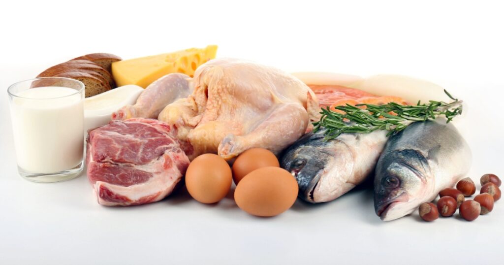 Food high in protein isolated on white