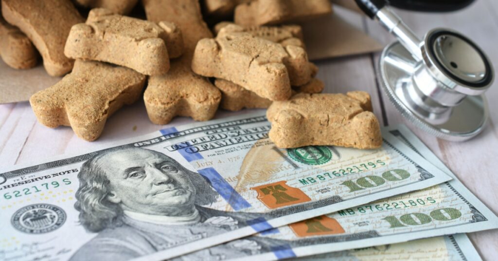 Vet veterinarian bill invoice with stethoscope and dog treats. Medical cost of pets concept
