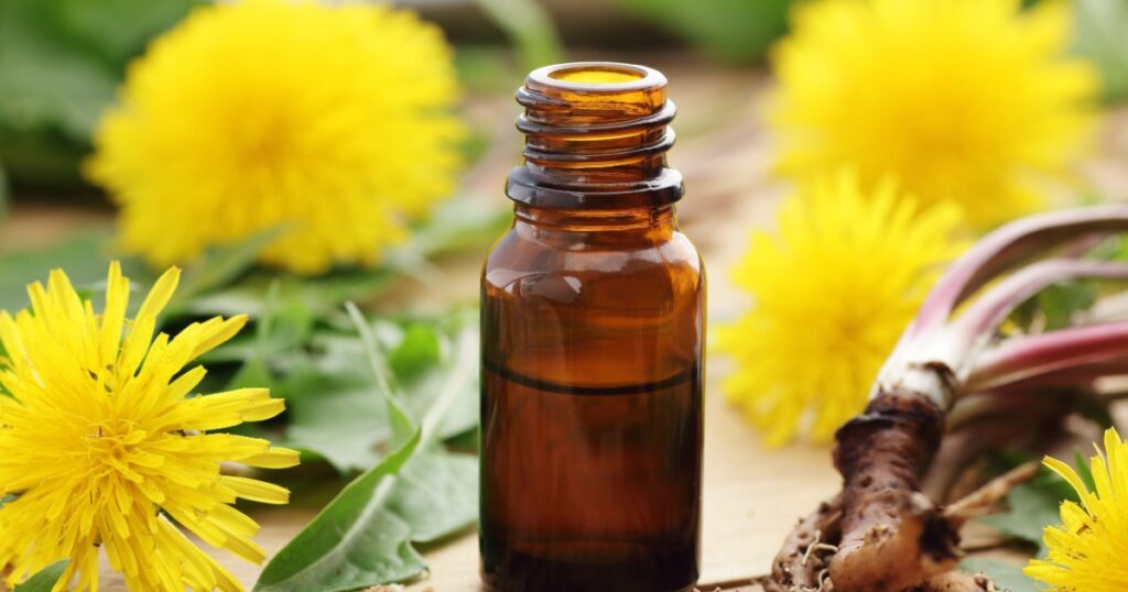 Dandelion root oil, tincture, wine or honey with fresh flowers and leaves on wooden table, closeup, copy space, green medicine, homeoparhy, hair and skin healthy care, detox therapy concept
