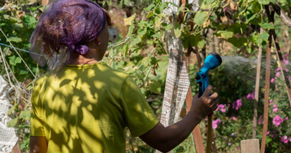 woman watering a beautiful garden