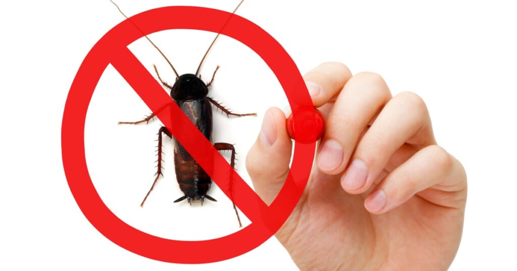 Hand drawing pest control concept with red marker. Prohibition sign on a cockroach.