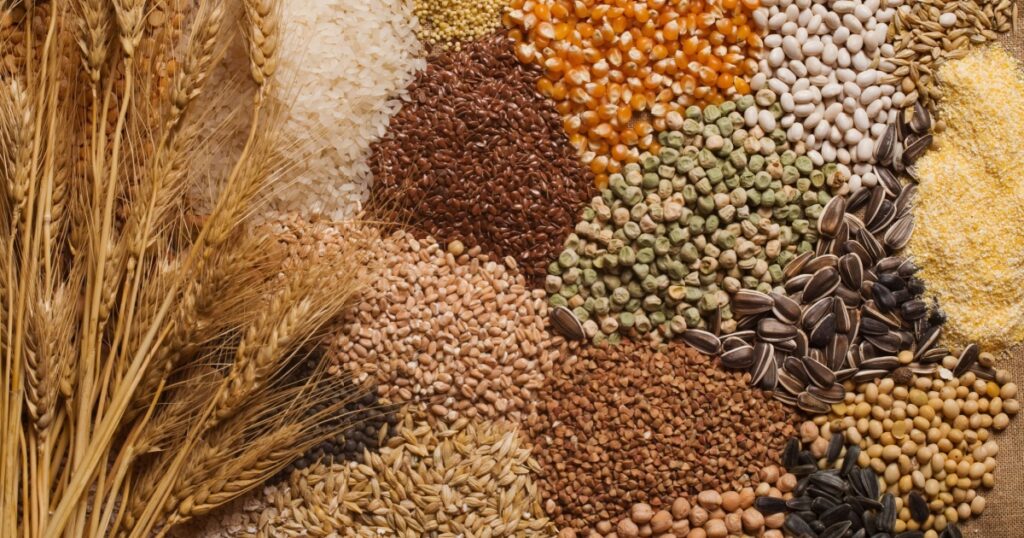 Cereal grains , seeds, beans