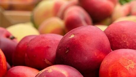 Assortment of grocery store fruit.