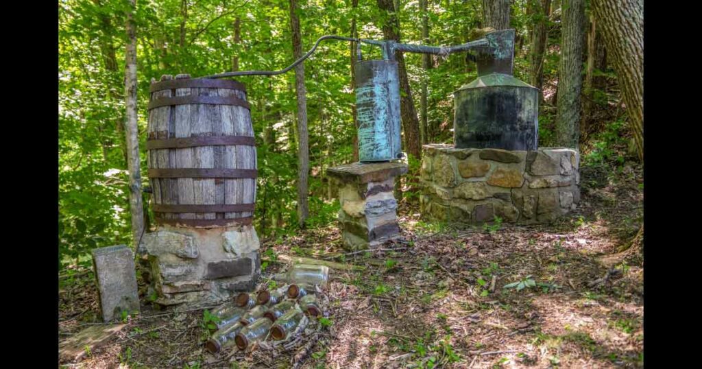 Large moonshine still set up hidden in an over grown area of the forest with glass jars and jugs on the ground closeup view