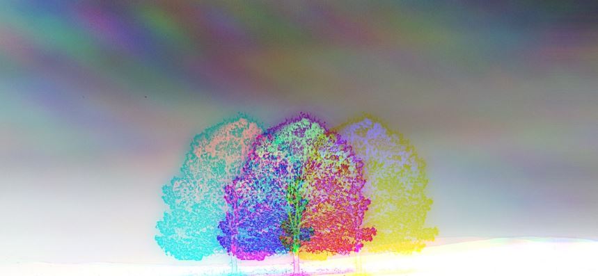 Trippy trees with rainbow hue.