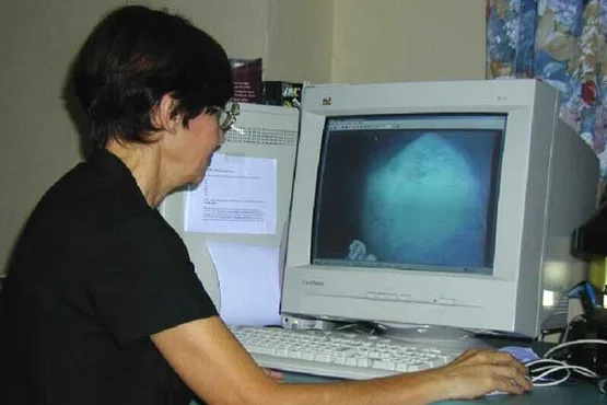 Pauline scrutinizing the images