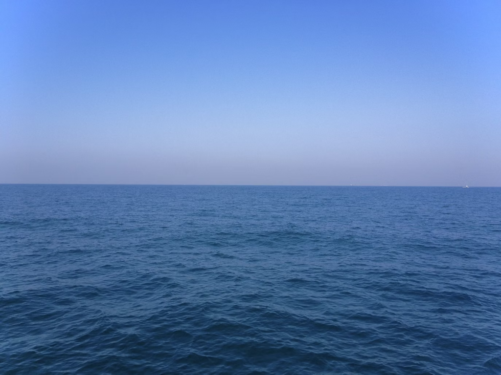 The Ocean