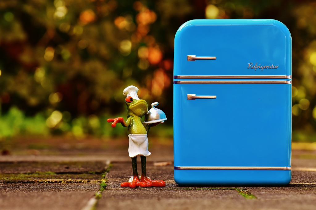 frog figurine beside a mini fridge