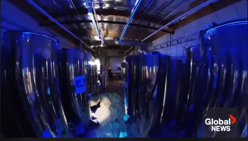 cryonics youtbe