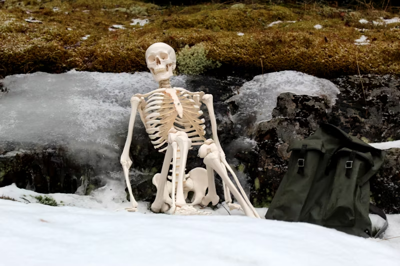 a skeleton sitting in the snow with a bag