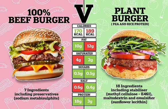 Exploring the Health Quotient: Debunking Myths About Vegan vs. Meat Diets