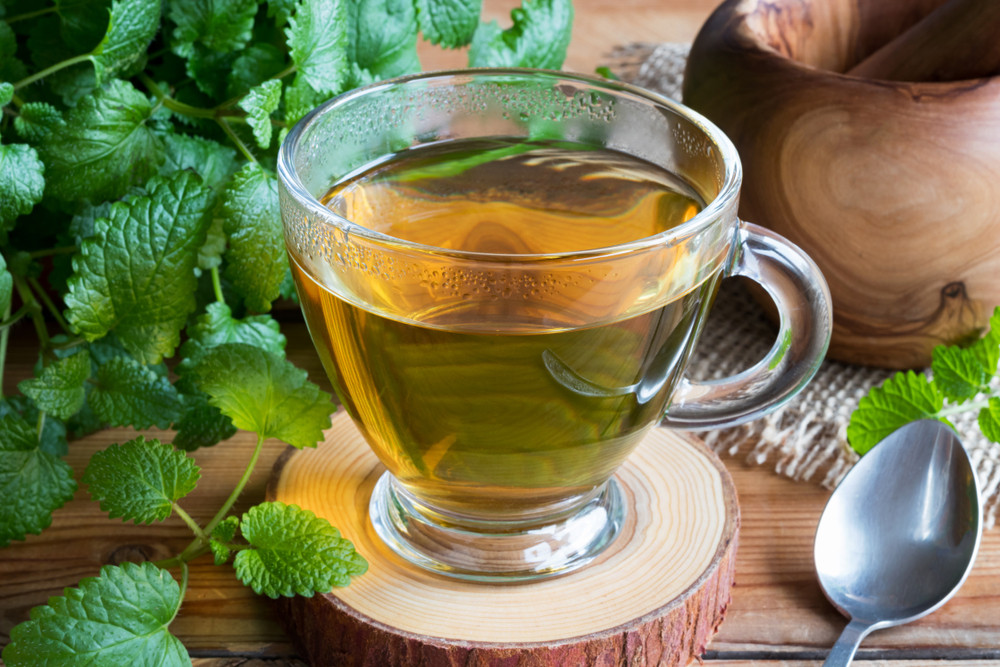 A cup of melissa (lemon balm) tea on a table with fresh melissa leaves in the background