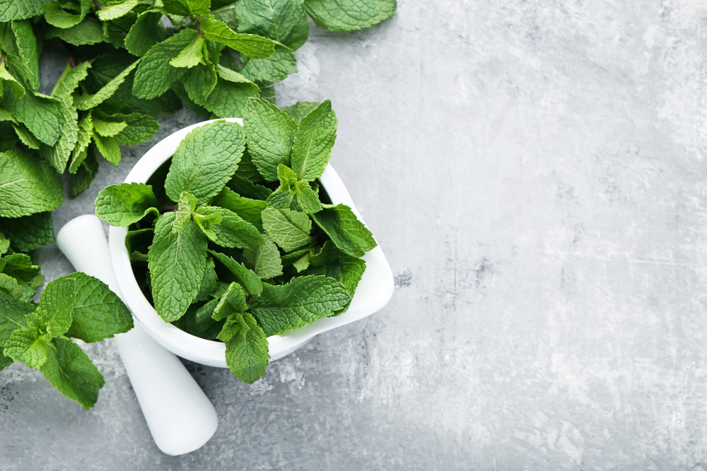 Fresh mint leafs in mortar on grey wooden table