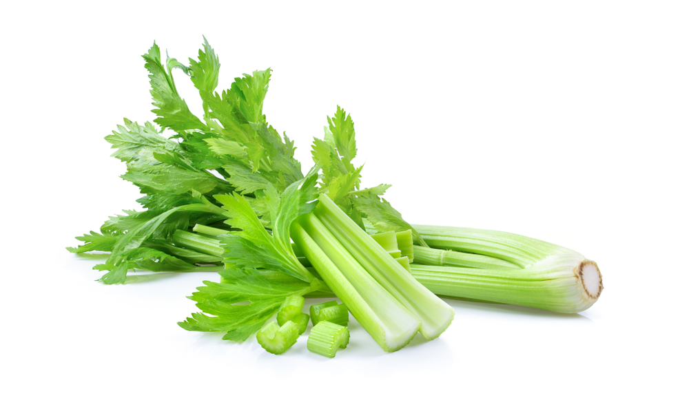 Fresh celery isolated on white background