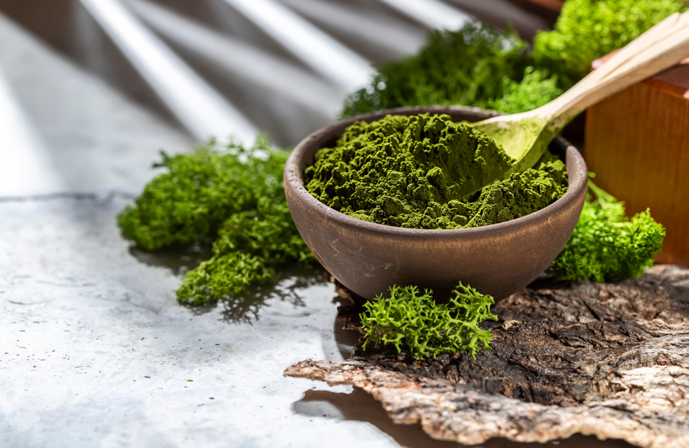 Green powder chlorella, spirulina on gray concrete background. Concept dieting, detox, healthy superfood, which contains protein. Copy space.
